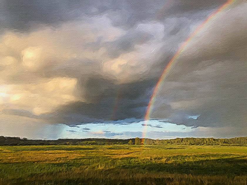 Ein Bild, das Gras, Natur, drauen, Regenbogen enthlt.

Automatisch generierte Beschreibung