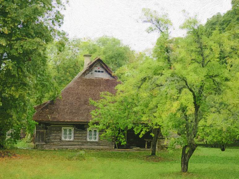 Ein Bild, das Baum, Gras, drauen, Pflanze enthlt.

Automatisch generierte Beschreibung