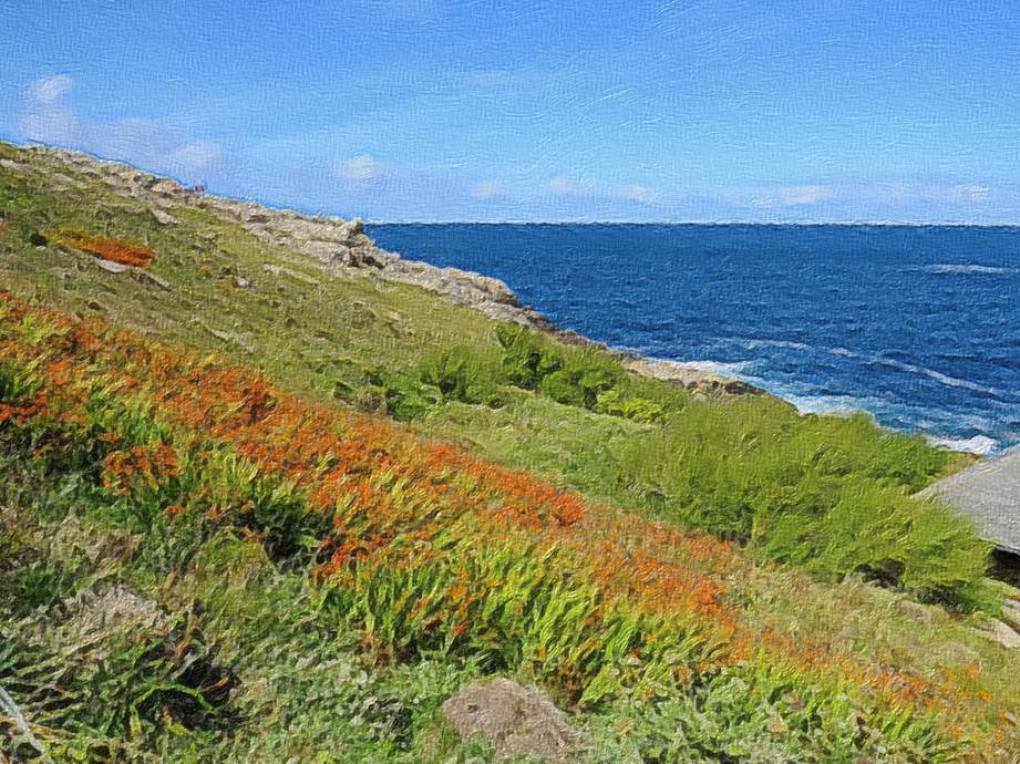 Ein Bild, das Gras, drauen, Himmel, Natur enthlt.

Automatisch generierte Beschreibung