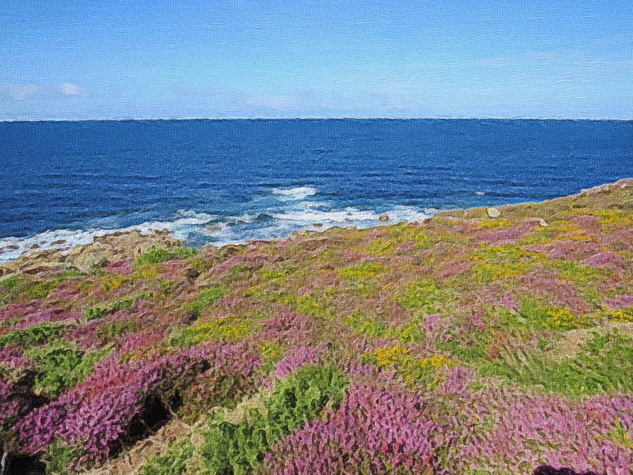 Ein Bild, das Gras, drauen, Wasser, Natur enthlt.

Automatisch generierte Beschreibung