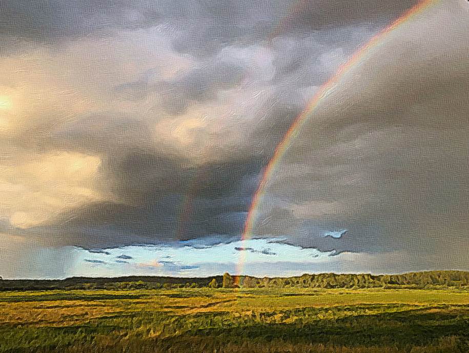 Ein Bild, das Gras, drauen, Natur, Regenbogen enthlt.

Automatisch generierte Beschreibung