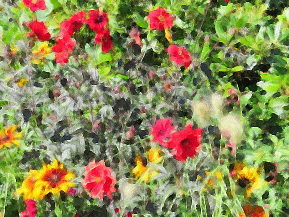 Ein Bild, das Blume, Pflanze, farbig enthlt.

Automatisch generierte Beschreibung