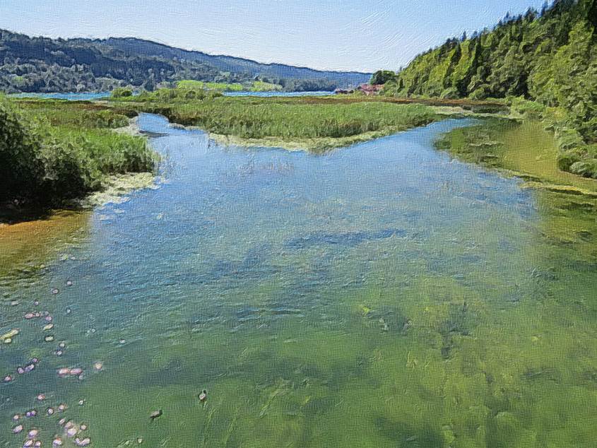 Ein Bild, das Gras, Wasser, drauen, Natur enthlt.

Automatisch generierte Beschreibung