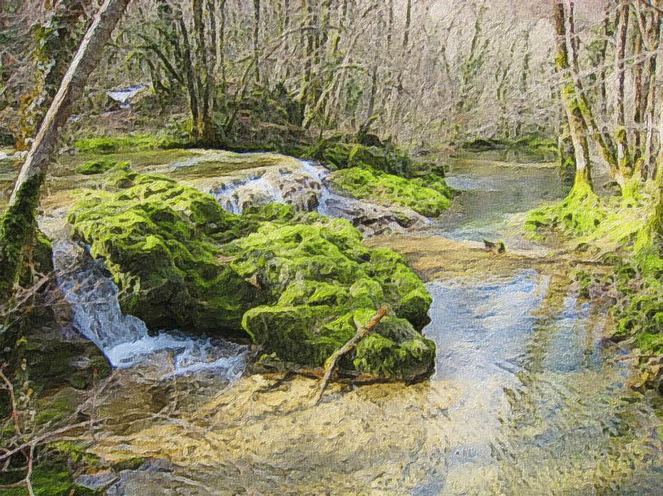 Ein Bild, das Gras, drauen, Baum, Pflanze enthlt.

Automatisch generierte Beschreibung