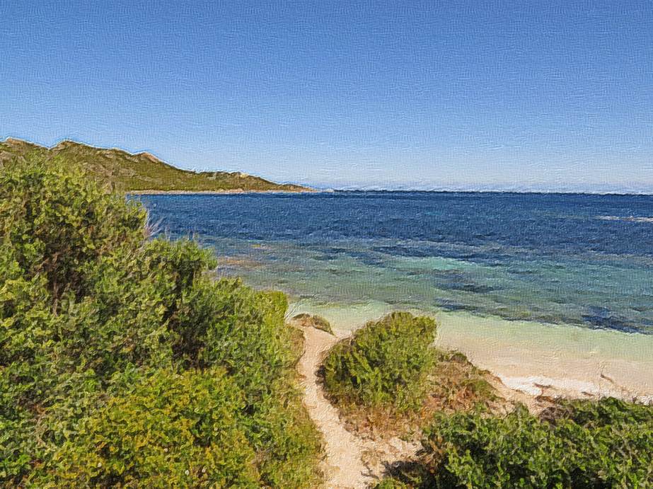 Ein Bild, das Wasser, Gras, drauen, Natur enthlt.

Automatisch generierte Beschreibung