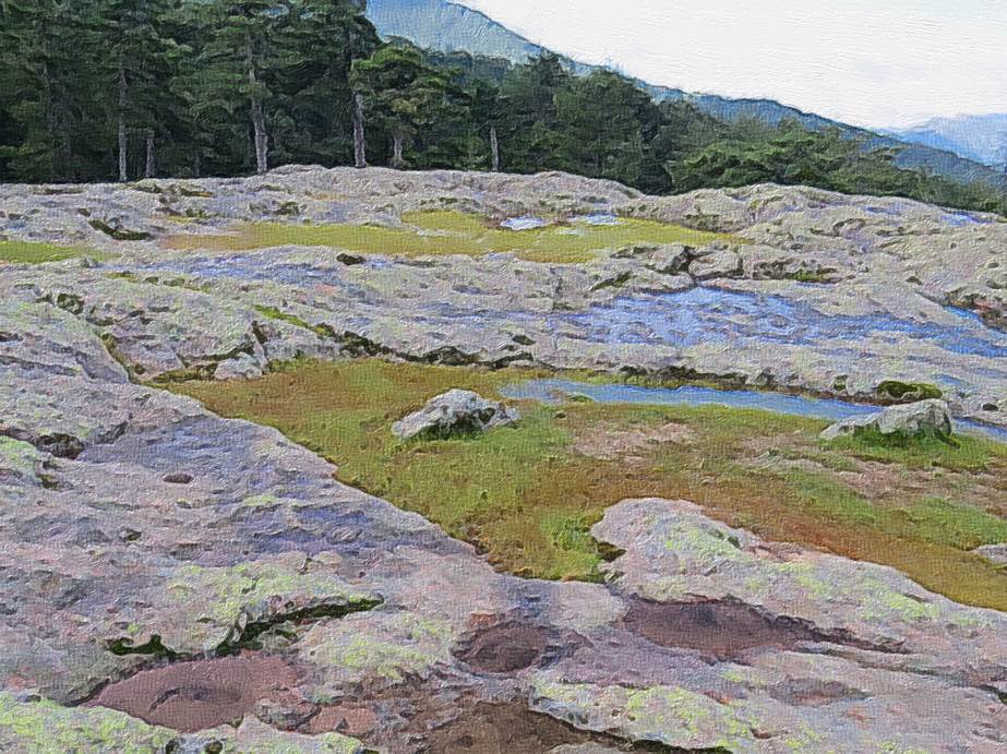 Ein Bild, das Gras, drauen, Berg, Rock enthlt.

Automatisch generierte Beschreibung