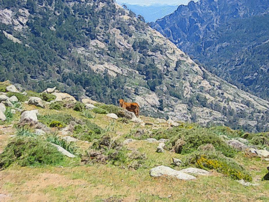 Ein Bild, das Berg, drauen, Gras, Natur enthlt.

Automatisch generierte Beschreibung