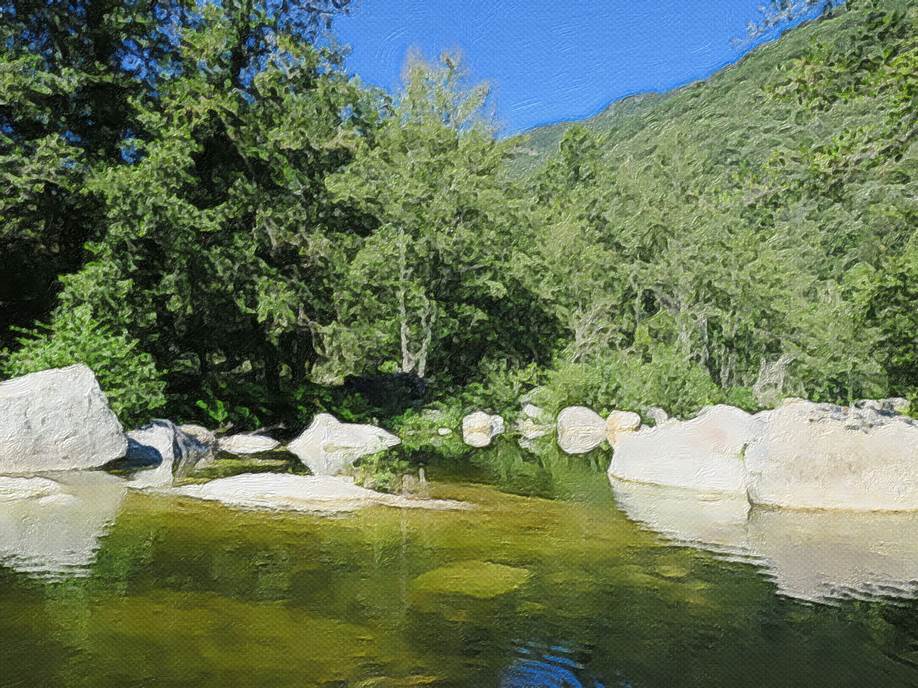 Ein Bild, das Baum, drauen, Wasser, Rock enthlt.

Automatisch generierte Beschreibung