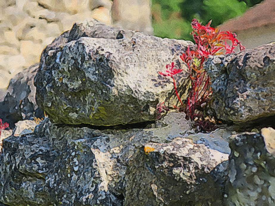 Ein Bild, das Rock, drauen, felsig, Halde enthlt.

Automatisch generierte Beschreibung