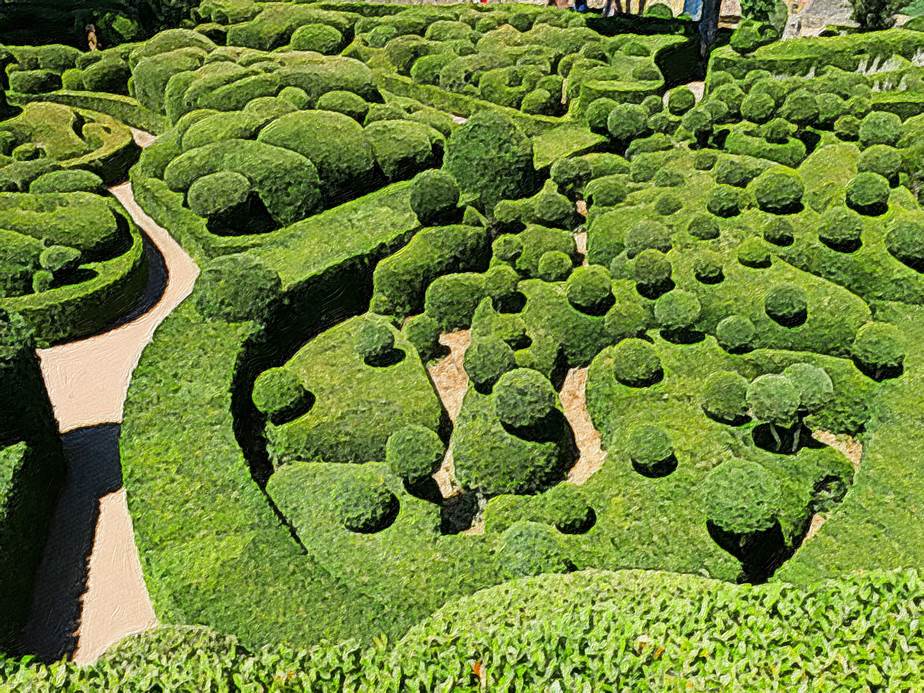 Ein Bild, das Gras, Garten, grn, Pflanze enthlt.

Automatisch generierte Beschreibung