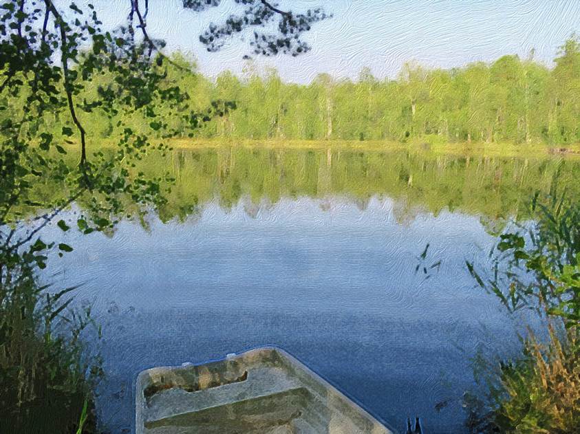 Ein Bild, das Baum, Gras, Natur, Wasser enthlt.

Automatisch generierte Beschreibung