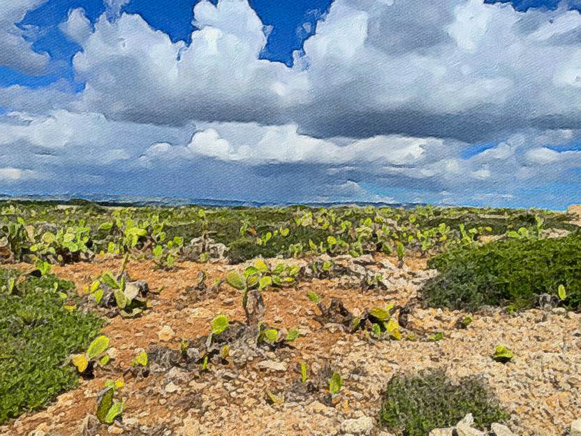 Ein Bild, das Himmel, drauen, Gras, Boden enthlt.

Automatisch generierte Beschreibung