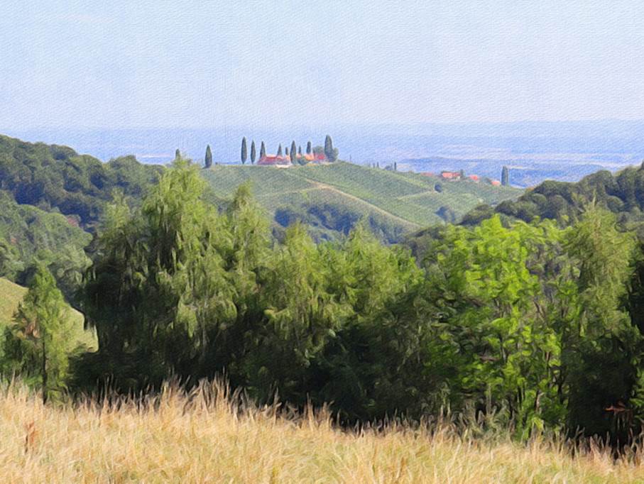 Ein Bild, das Gras, Baum, drauen, Feld enthlt.

Automatisch generierte Beschreibung