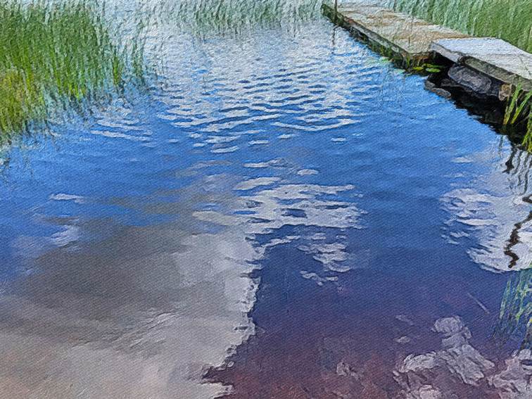 Ein Bild, das drauen, Wasser, Natur enthlt.

Automatisch generierte Beschreibung