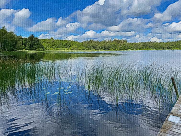 Ein Bild, das Wasser, drauen, Natur enthlt.

Automatisch generierte Beschreibung