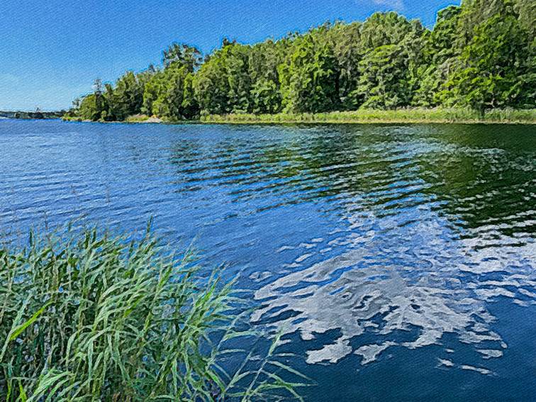 Ein Bild, das drauen, Wasser, Natur, Teich enthlt.

Automatisch generierte Beschreibung