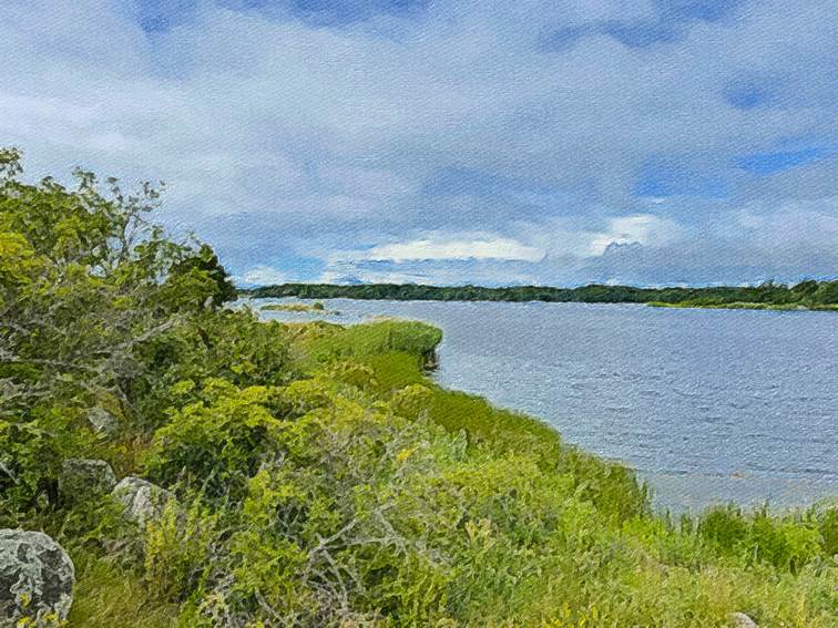 Ein Bild, das Wasser, drauen, Gras, Fluss enthlt.

Automatisch generierte Beschreibung