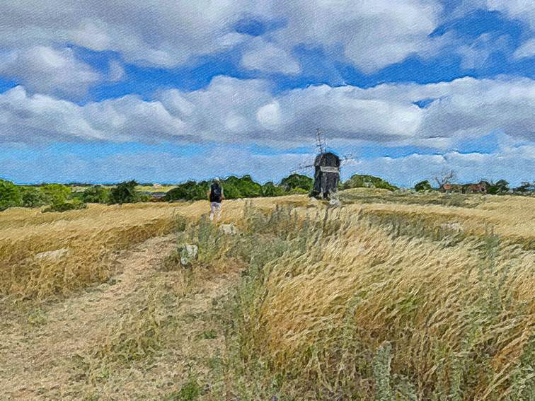 Ein Bild, das Gras, drauen, Himmel, Feld enthlt.

Automatisch generierte Beschreibung