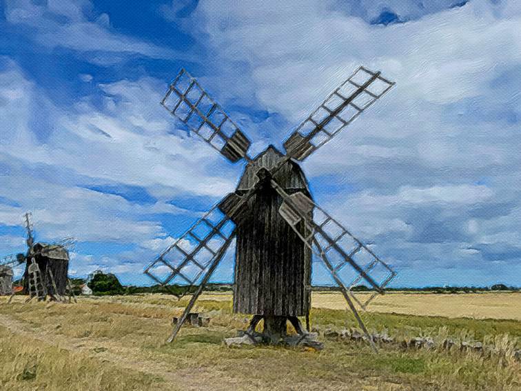 Ein Bild, das Gras, Himmel, drauen, Outdoorobjekt enthlt.

Automatisch generierte Beschreibung