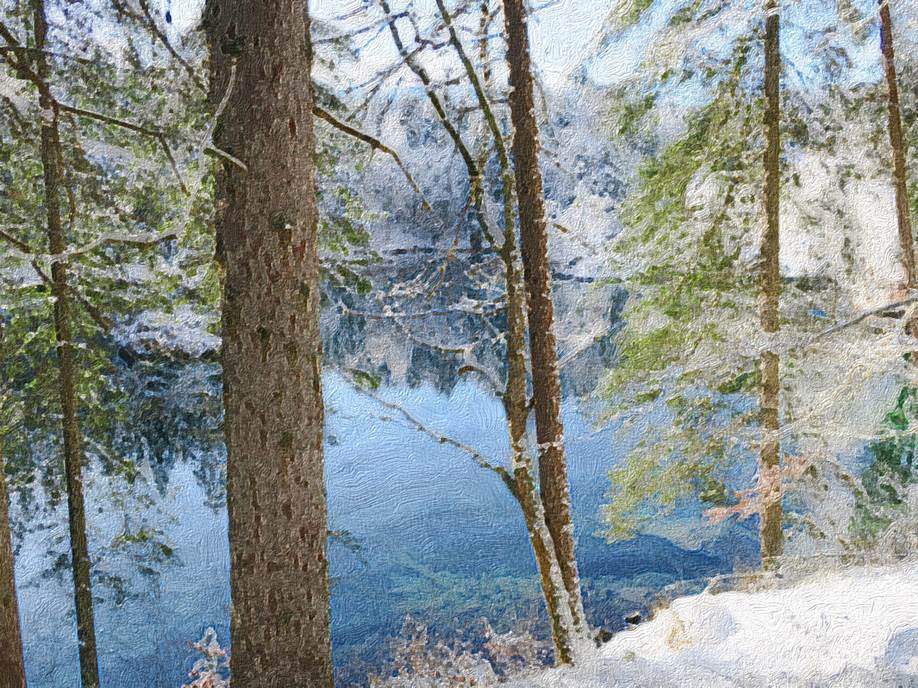 Ein Bild, das Baum, drauen, Pflanze, Birke enthlt.

Automatisch generierte Beschreibung