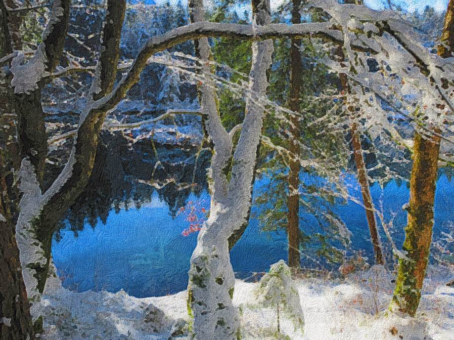 Ein Bild, das Baum, Pflanze, drauen, Konifere enthlt.

Automatisch generierte Beschreibung